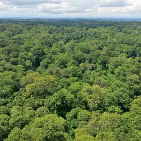 Arapiraca transmitirá final da Série D entre Uberlândia x ASA, no Bosque das Arapiracas