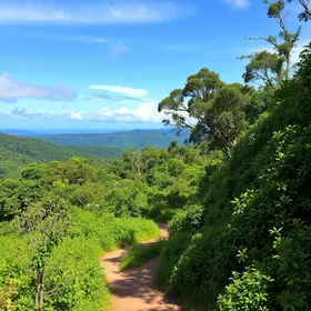 Onde Caminhar em Arapiraca
