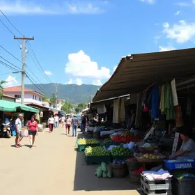 A Feira Livre e a Formação de Arapiraca
