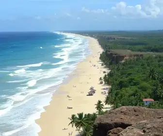 Arapiraca (AL): veja resultado da apuração da votação para governador na cidade
