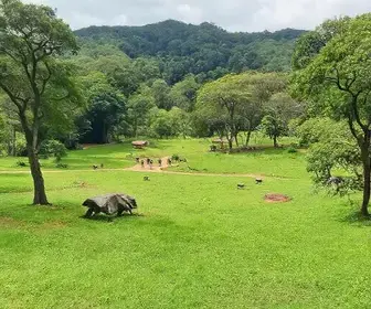 Dicas para Visitar Parques e Espaços Públicos em Arapiraca