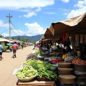 Feira Livre de Arapiraca: Cultura, Sabores e Tradição