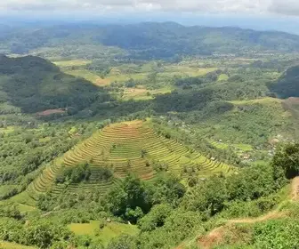 Guia para Quem Visita Arapiraca pela Primeira Vez
